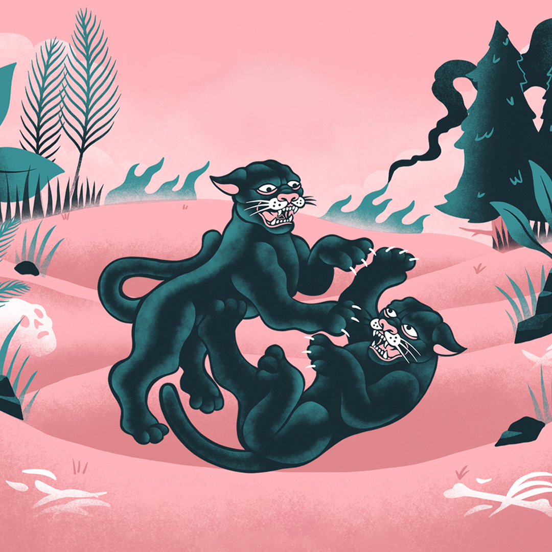 Coming Soon - DOUBLE Whisper!